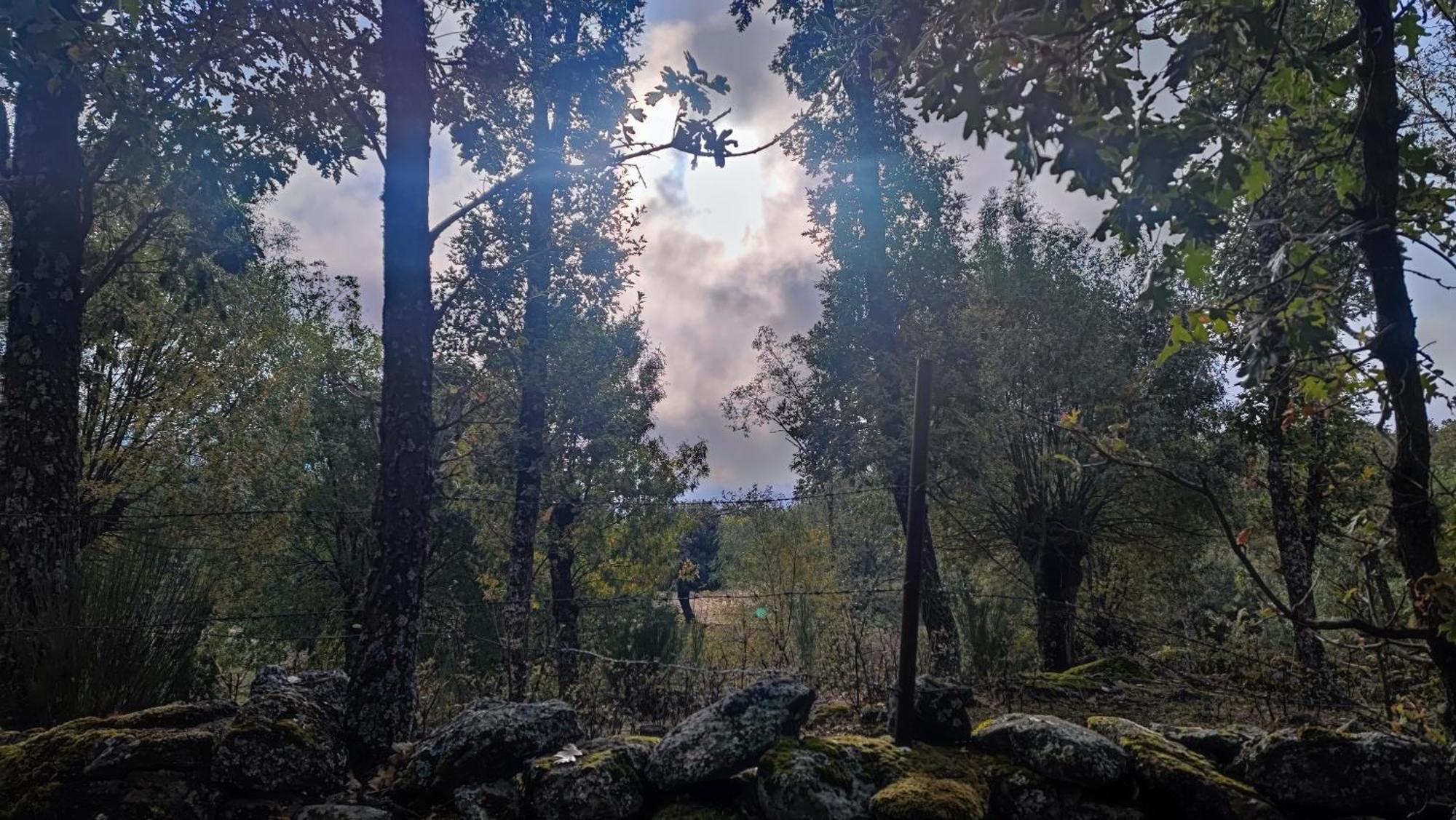 El Rincon De Gredos ξενώνας Navaluenga Εξωτερικό φωτογραφία